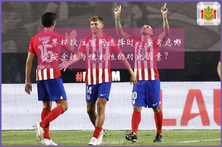 世界杯投注官网选择时，要考虑哪些安全性与便利性的对比因素？